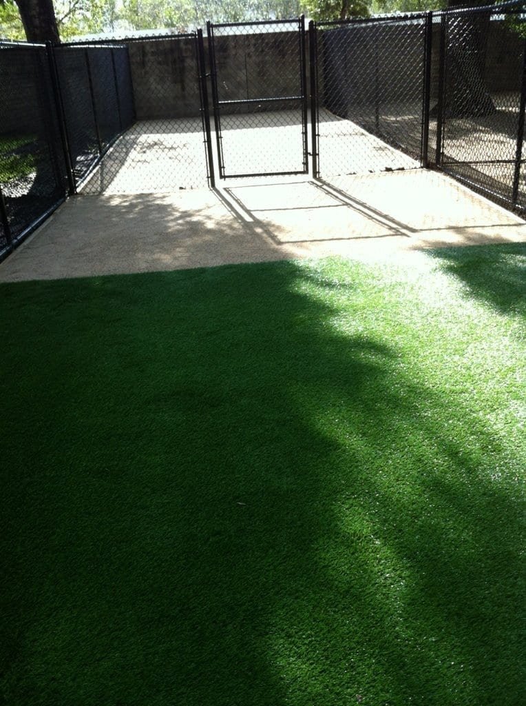 Sunlit outdoor area with artificial grass and shadows from a fence.