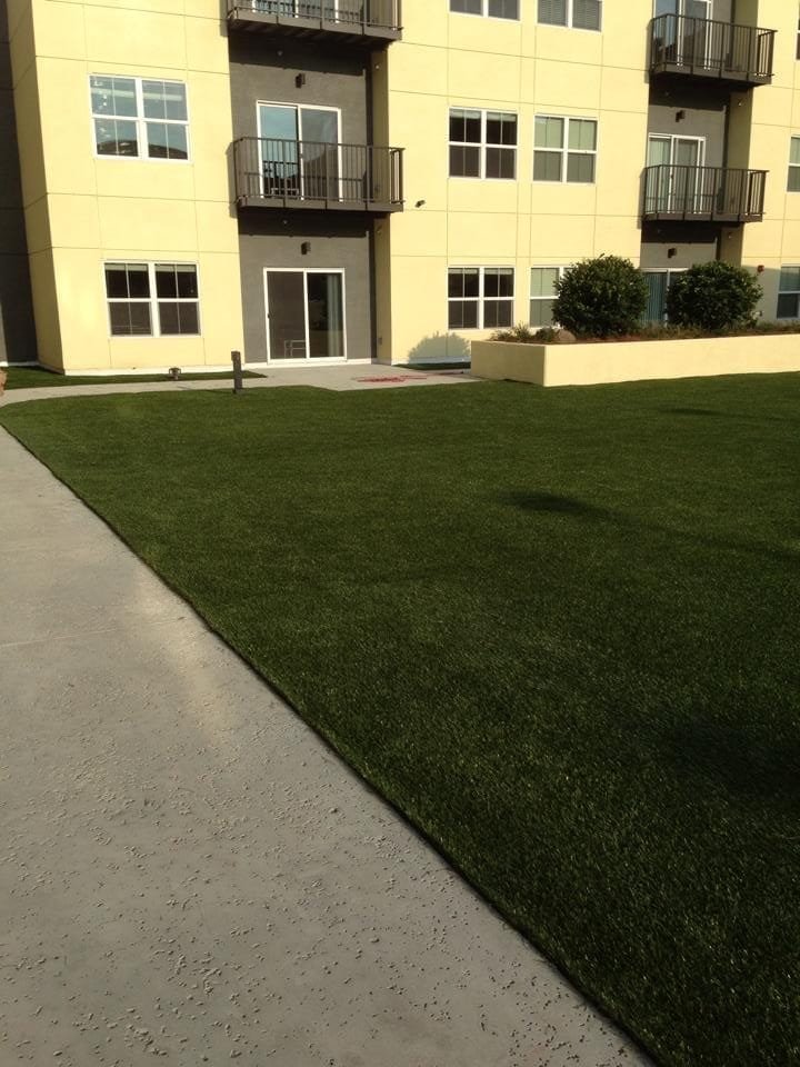 Well-maintained green lawn and a paved walkway in front of an apartment building.