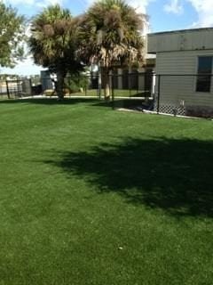 A backyard with green grass, a palm tree, and a building.