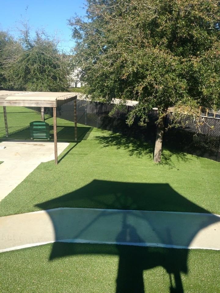 Shaded picnic area with benches under trees on a sunny day.