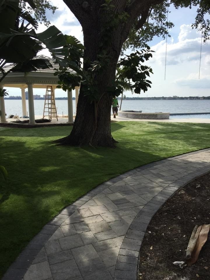 A curved pathway along a grassy area by the water with benches and trees.