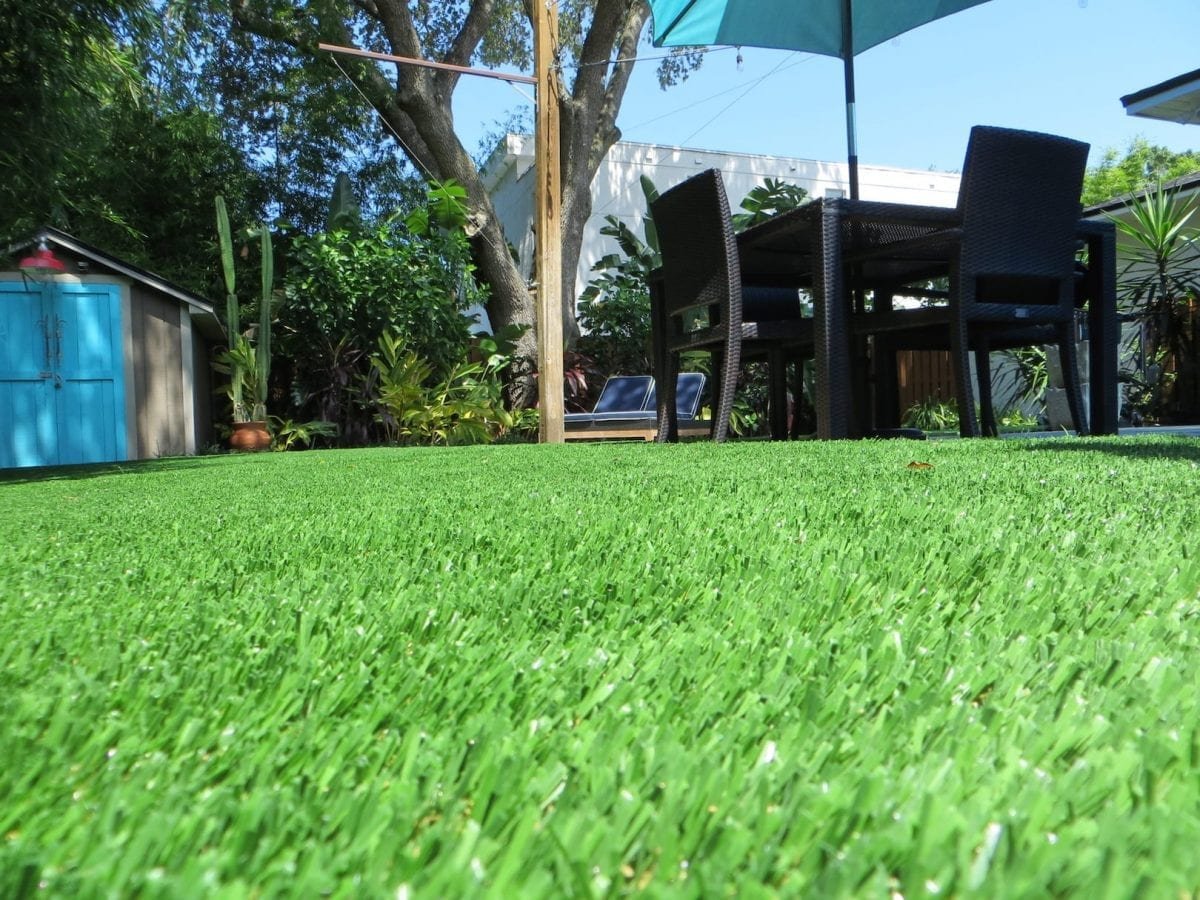 Close-up of vibrant green grass under a shaded outdoor patio area.