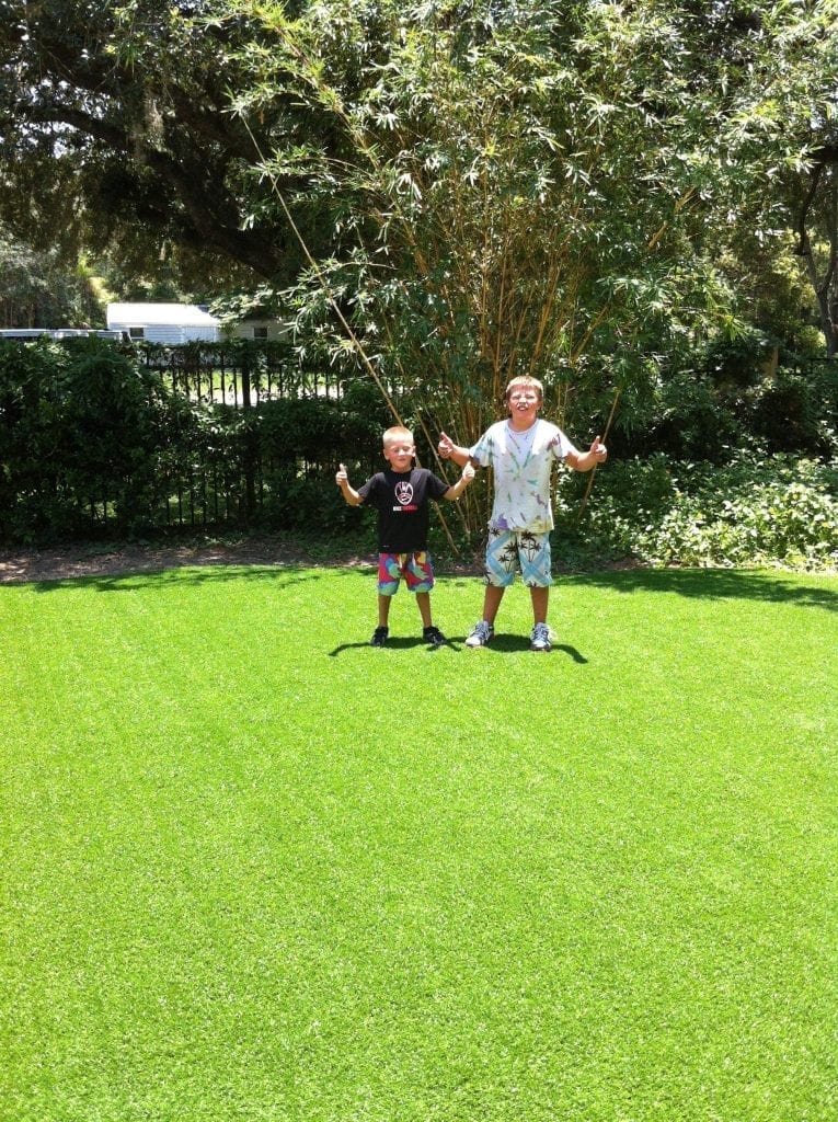 Two children playing together on a sunny, green lawn surrounded by trees.