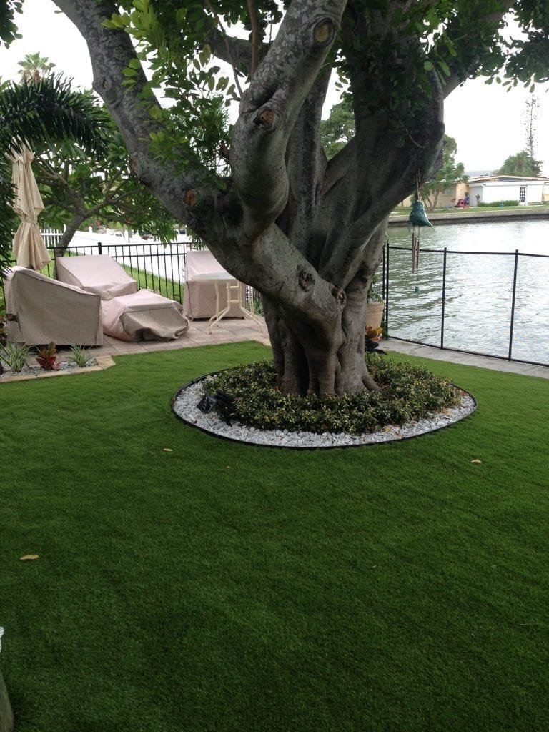 Large tree surrounded by neatly trimmed grass near water.