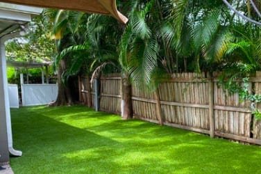 A lush green lawn bordered by a wooden fence and palm trees.