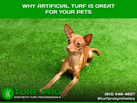 Happy dog running on artificial turf, enjoying a safe play area.