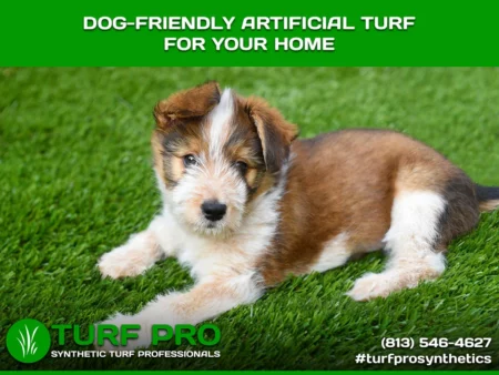 A dog lying on artificial turf promoting dog-friendly turf for homes.